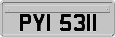 PYI5311