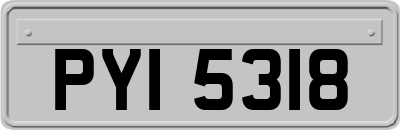 PYI5318