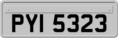 PYI5323