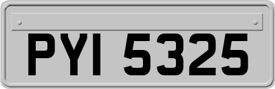 PYI5325