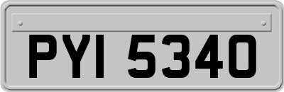 PYI5340