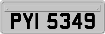 PYI5349