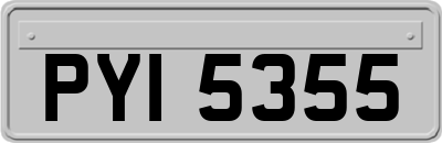 PYI5355