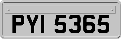 PYI5365