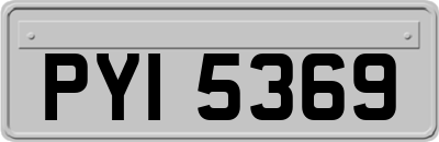 PYI5369