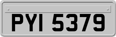 PYI5379