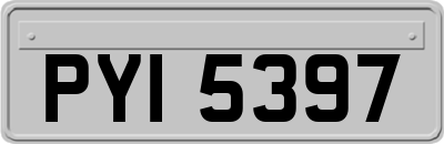 PYI5397