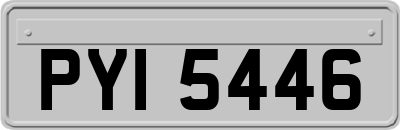 PYI5446