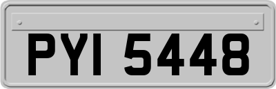 PYI5448