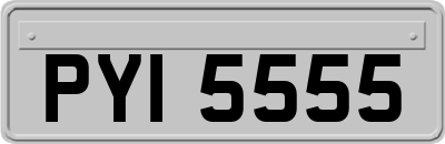 PYI5555