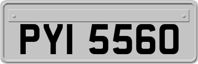 PYI5560