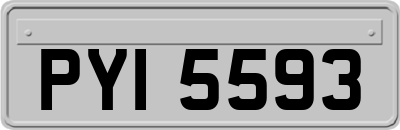 PYI5593