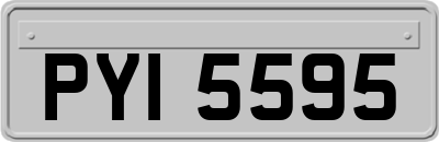 PYI5595