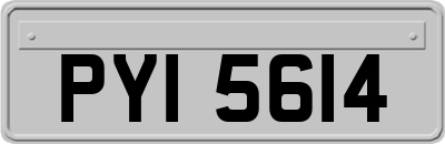 PYI5614