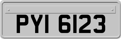 PYI6123