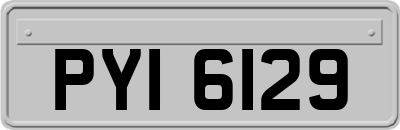 PYI6129