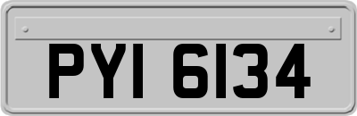 PYI6134