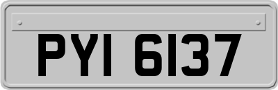 PYI6137