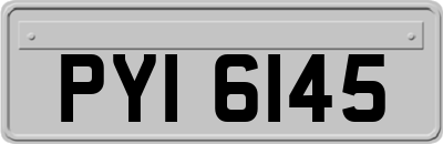 PYI6145