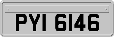 PYI6146