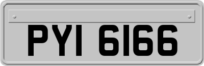 PYI6166