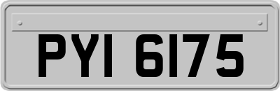 PYI6175