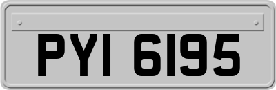 PYI6195
