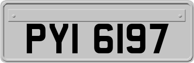 PYI6197