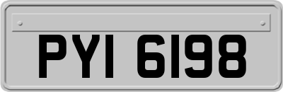 PYI6198