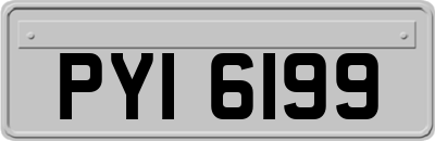 PYI6199