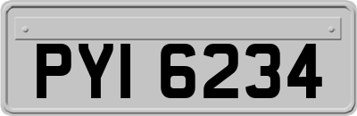 PYI6234