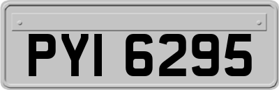 PYI6295