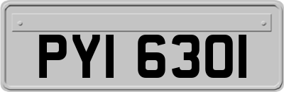 PYI6301