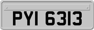 PYI6313