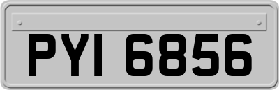 PYI6856