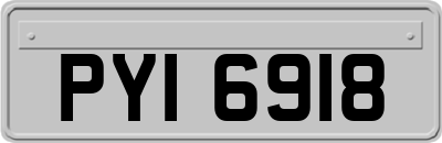 PYI6918