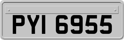 PYI6955