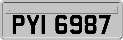 PYI6987