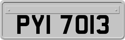 PYI7013