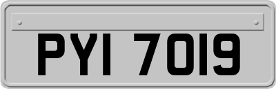 PYI7019