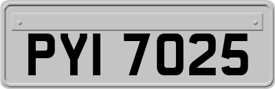 PYI7025