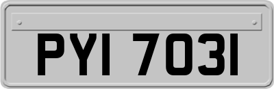 PYI7031