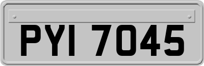 PYI7045