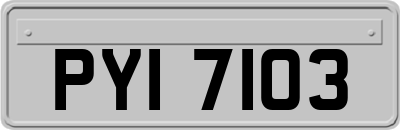 PYI7103