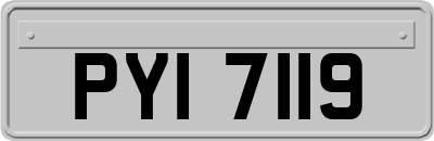 PYI7119