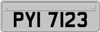 PYI7123