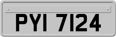 PYI7124