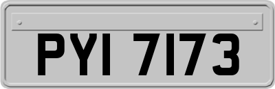PYI7173