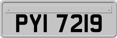 PYI7219