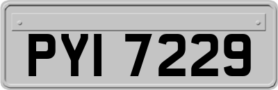 PYI7229